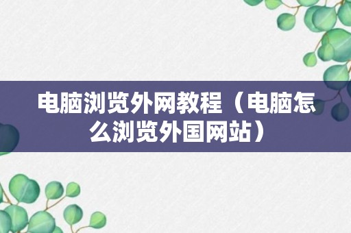 电脑浏览外网教程（电脑怎么浏览外国网站）