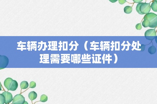 车辆办理扣分（车辆扣分处理需要哪些证件）