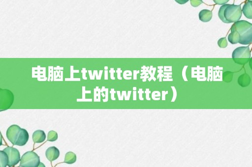 电脑上twitter教程（电脑上的twitter）