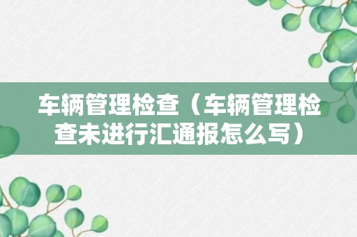 车辆管理检查（车辆管理检查未进行汇通报怎么写）