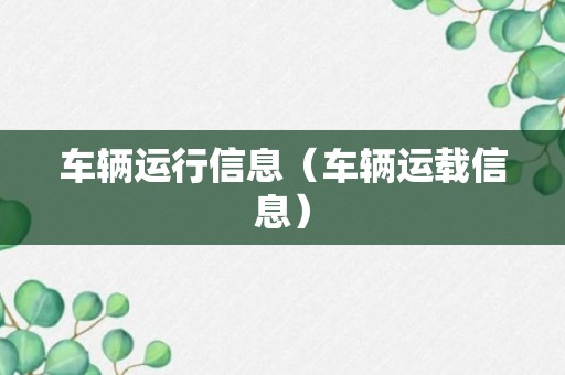 车辆运行信息（车辆运载信息）