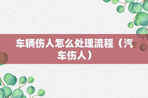 车辆伤人怎么处理流程（汽车伤人）