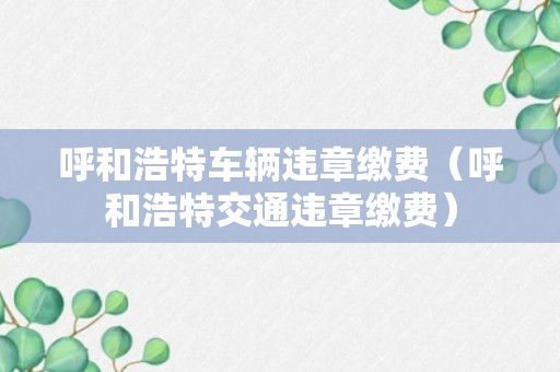 呼和浩特车辆违章缴费（呼和浩特交通违章缴费）