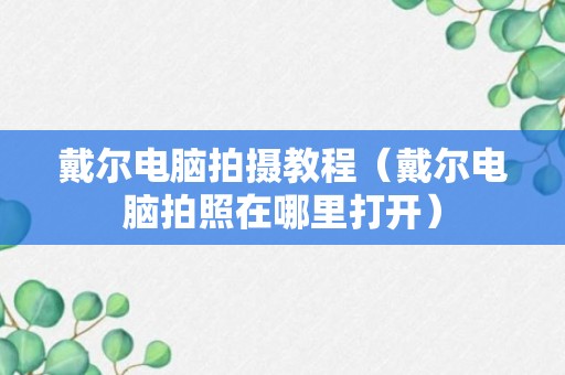 戴尔电脑拍摄教程（戴尔电脑拍照在哪里打开）