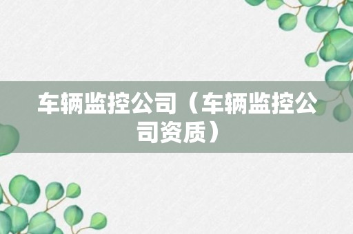 车辆监控公司（车辆监控公司资质）