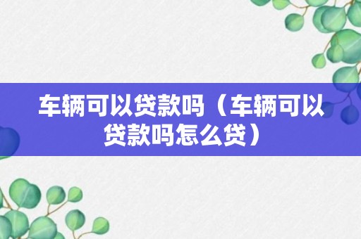 车辆可以贷款吗（车辆可以贷款吗怎么贷）