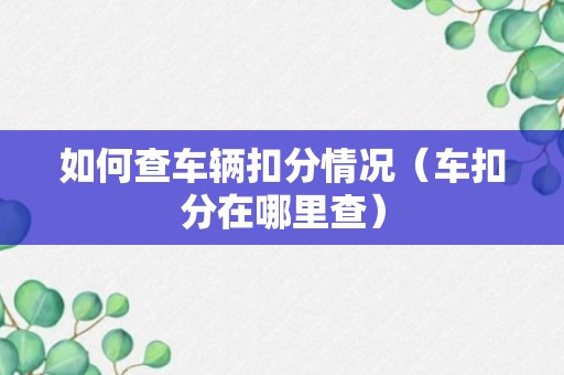 如何查车辆扣分情况（车扣分在哪里查）