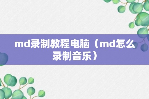 md录制教程电脑（md怎么录制音乐）