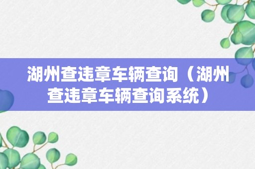 湖州查违章车辆查询（湖州查违章车辆查询系统）