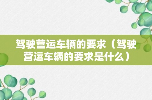 驾驶营运车辆的要求（驾驶营运车辆的要求是什么）