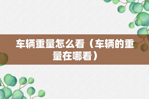 车辆重量怎么看（车辆的重量在哪看）