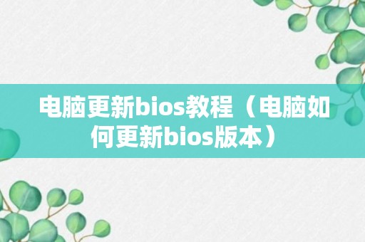 电脑更新bios教程（电脑如何更新bios版本）