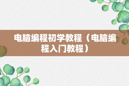 电脑编程初学教程（电脑编程入门教程）