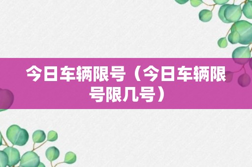 今日车辆限号（今日车辆限号限几号）