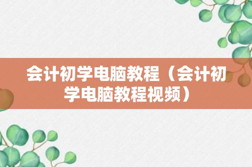 会计初学电脑教程（会计初学电脑教程视频）