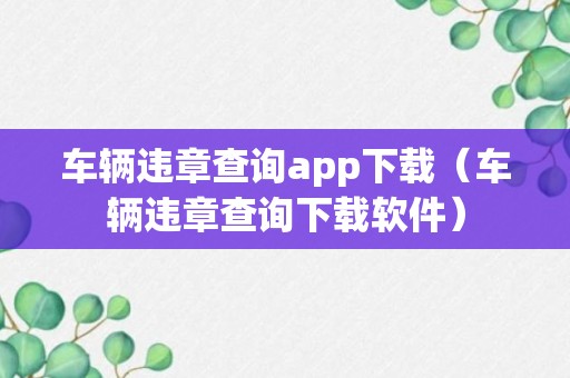 车辆违章查询app下载（车辆违章查询下载软件）