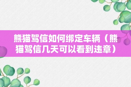 熊猫驾信如何绑定车辆（熊猫驾信几天可以看到违章）