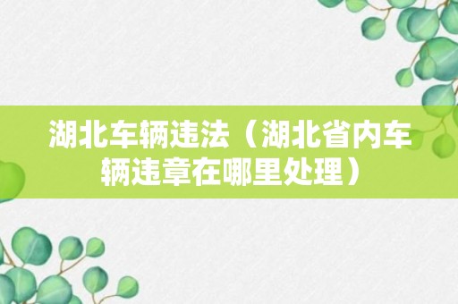 湖北车辆违法（湖北省内车辆违章在哪里处理）