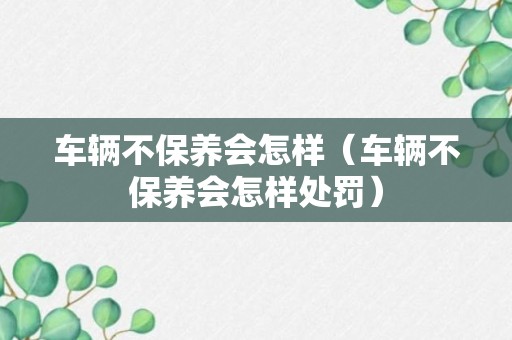 车辆不保养会怎样（车辆不保养会怎样处罚）