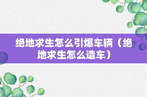 绝地求生怎么引爆车辆（绝地求生怎么造车）