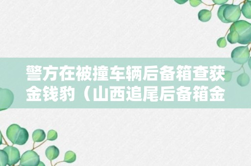 警方在被撞车辆后备箱查获金钱豹（山西追尾后备箱金钱豹）