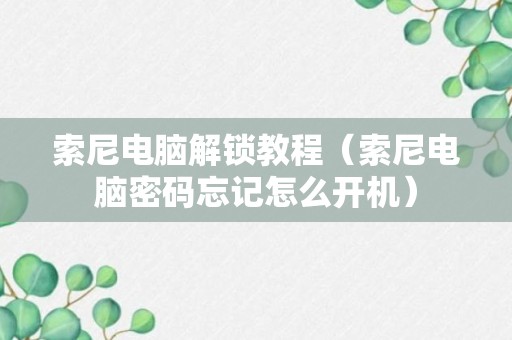 索尼电脑解锁教程（索尼电脑密码忘记怎么开机）