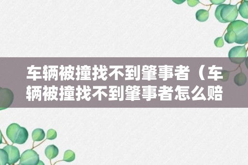 车辆被撞找不到肇事者（车辆被撞找不到肇事者怎么赔偿）