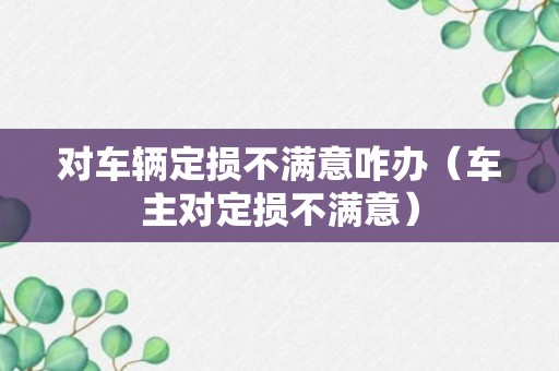 对车辆定损不满意咋办（车主对定损不满意）