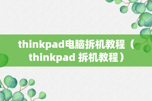 thinkpad电脑拆机教程（thinkpad 拆机教程）