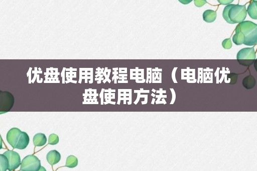 优盘使用教程电脑（电脑优盘使用方法）