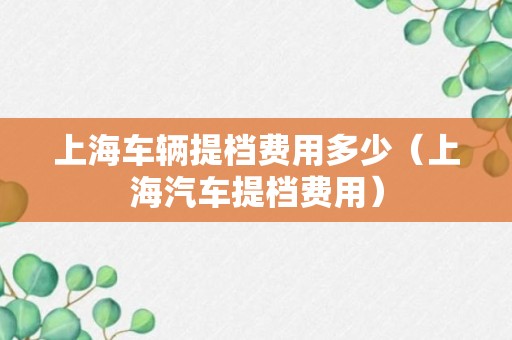 上海车辆提档费用多少（上海汽车提档费用）