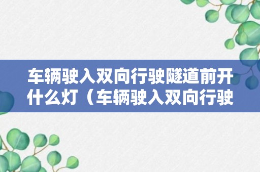 车辆驶入双向行驶隧道前开什么灯（车辆驶入双向行驶隧道应该开启什么灯）