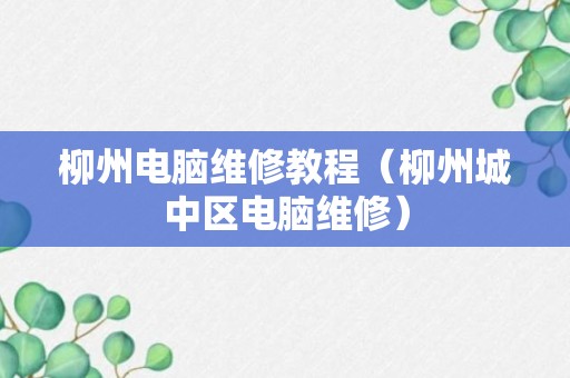 柳州电脑维修教程（柳州城中区电脑维修）