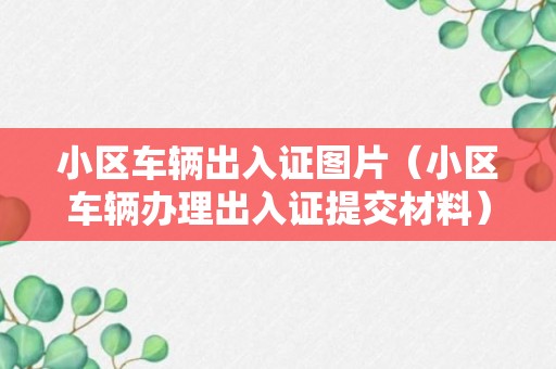 小区车辆出入证图片（小区车辆办理出入证提交材料）