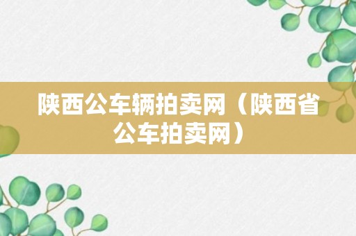 陕西公车辆拍卖网（陕西省公车拍卖网）