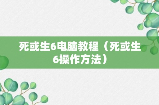 死或生6电脑教程（死或生6操作方法）