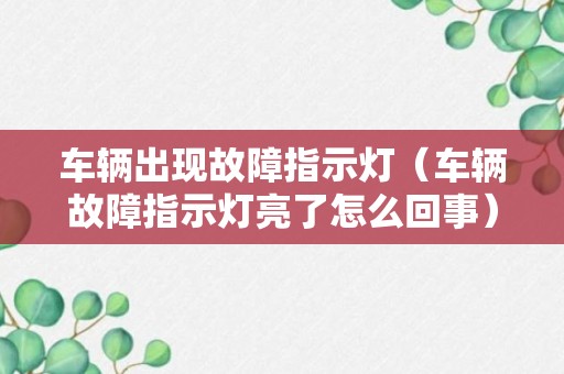 车辆出现故障指示灯（车辆故障指示灯亮了怎么回事）