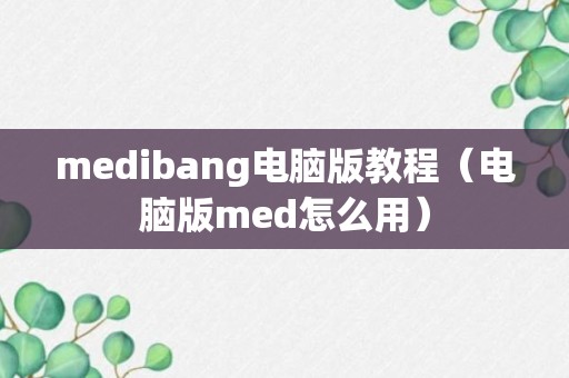 medibang电脑版教程（电脑版med怎么用）