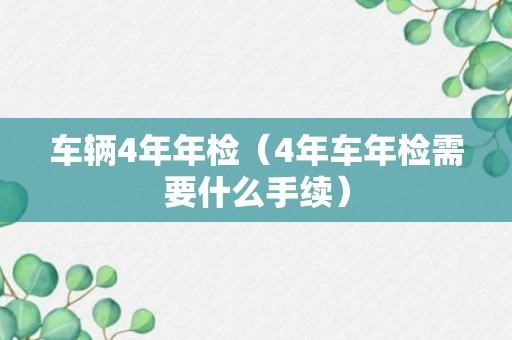 车辆4年年检（4年车年检需要什么手续）