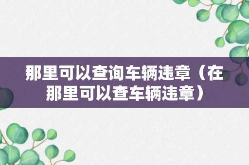 那里可以查询车辆违章（在那里可以查车辆违章）