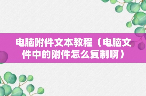 电脑附件文本教程（电脑文件中的附件怎么复制啊）