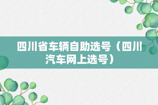 四川省车辆自助选号（四川汽车网上选号）