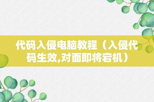 代码入侵电脑教程（入侵代码生效,对面即将宕机）