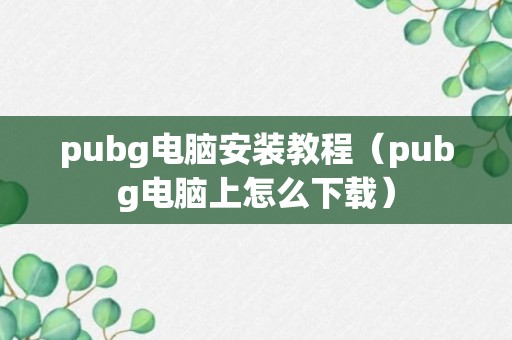 pubg电脑安装教程（pubg电脑上怎么下载）