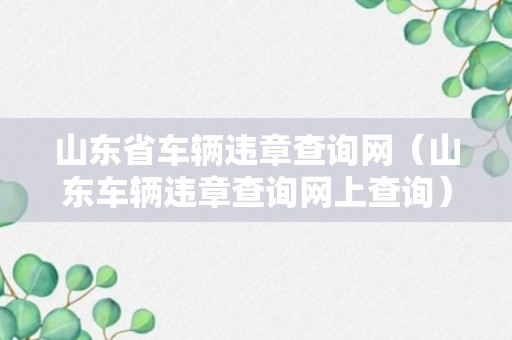 山东省车辆违章查询网（山东车辆违章查询网上查询）