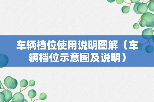 车辆档位使用说明图解（车辆档位示意图及说明）