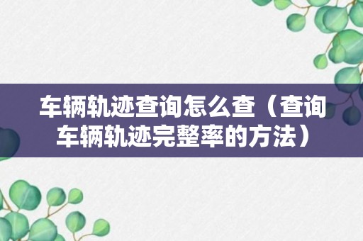 车辆轨迹查询怎么查（查询车辆轨迹完整率的方法）