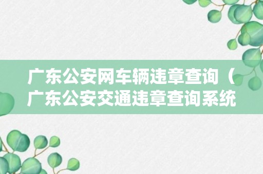 广东公安网车辆违章查询（广东公安交通违章查询系统）