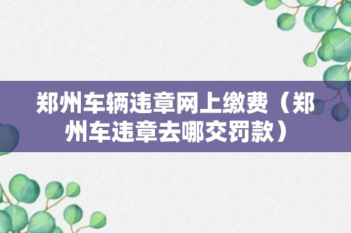 郑州车辆违章网上缴费（郑州车违章去哪交罚款）