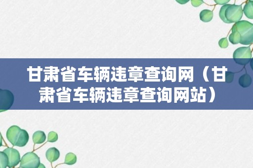 甘肃省车辆违章查询网（甘肃省车辆违章查询网站）